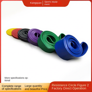 Banda de Resistencia de 50 Libras, Elastómero Termoplástico, Entrenamiento de Cuerpo Completo, Asistencia para Dominadas, Cinturón de Estiramiento para Fitness, Uso Doméstico - Product Image 1