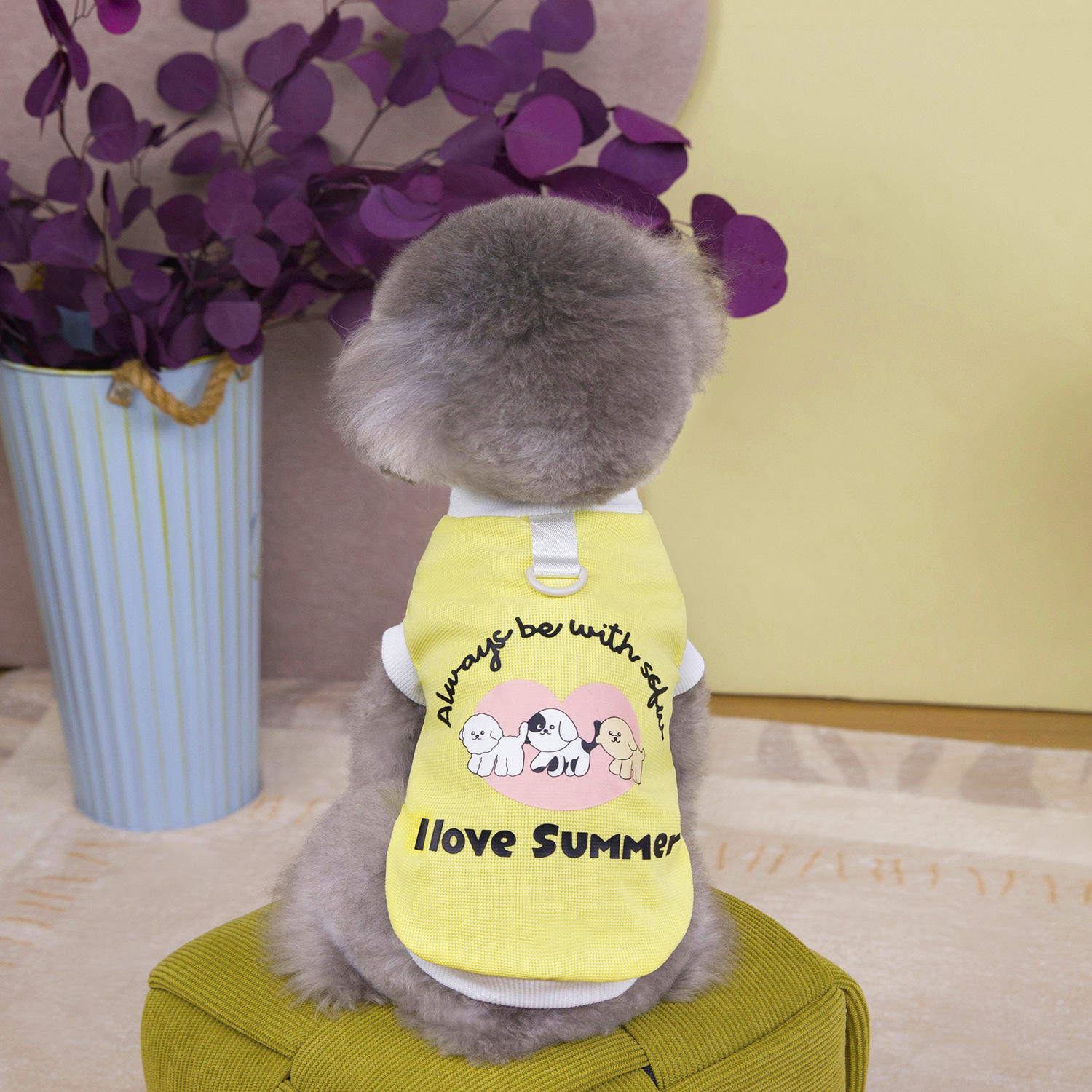 สีเหลือง