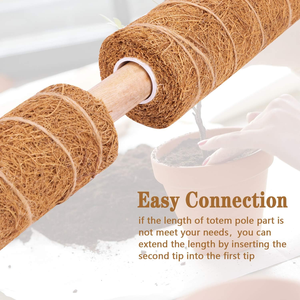 <span class=keywords><strong>Support</strong></span> de plante Moss Pole Monstera <span class=keywords><strong>pour</strong></span> <span class=keywords><strong>plantes</strong></span> <span class=keywords><strong>d</strong></span>'<span class=keywords><strong>intérieur</strong></span> <span class=keywords><strong>grimpantes</strong></span> Piquets <span class=keywords><strong>pour</strong></span> grimpeurs en pot Bâtons hauts Treillis <span class=keywords><strong>d</strong></span>'<span class=keywords><strong>intérieur</strong></span> <span class=keywords><strong>pour</strong></span> plante <span class=keywords><strong>d</strong></span>'<span class=keywords><strong>intérieur</strong></span> - Product Image 3