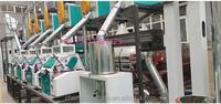 Nouvelle ligne de production de farine de maïs 30tpd 50tpd, machine à moudre le maïs, machine à dégermer le maïs