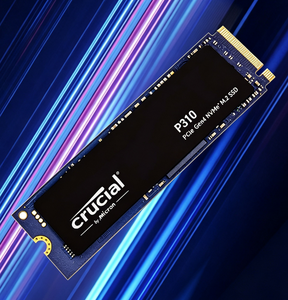 Vente en gros de SSD interne P310 1TB 2TB PCIe Gen4 NVMe 2280 M.2, vitesse de 6000 Mo/s pour PC de jeu de bureau - Product Image 4