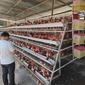 Giá Tốt Nhất Một Loại Lớp Gà Lồng Trứng Lớp Gia Cầm Pin Lồng Coop Nuôi Thiết Bị Gà Coop Cho Đẻ Gà - Product Image 1