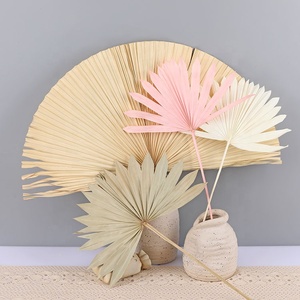 Feuilles de <span class=keywords><strong>palmier</strong></span> séchées naturelles, feuilles de <span class=keywords><strong>palmier</strong></span> en éventail séchées, 10 tiges de pampas et de <span class=keywords><strong>palmier</strong></span> séchés naturels pour la décoration bohème - Product Image 2