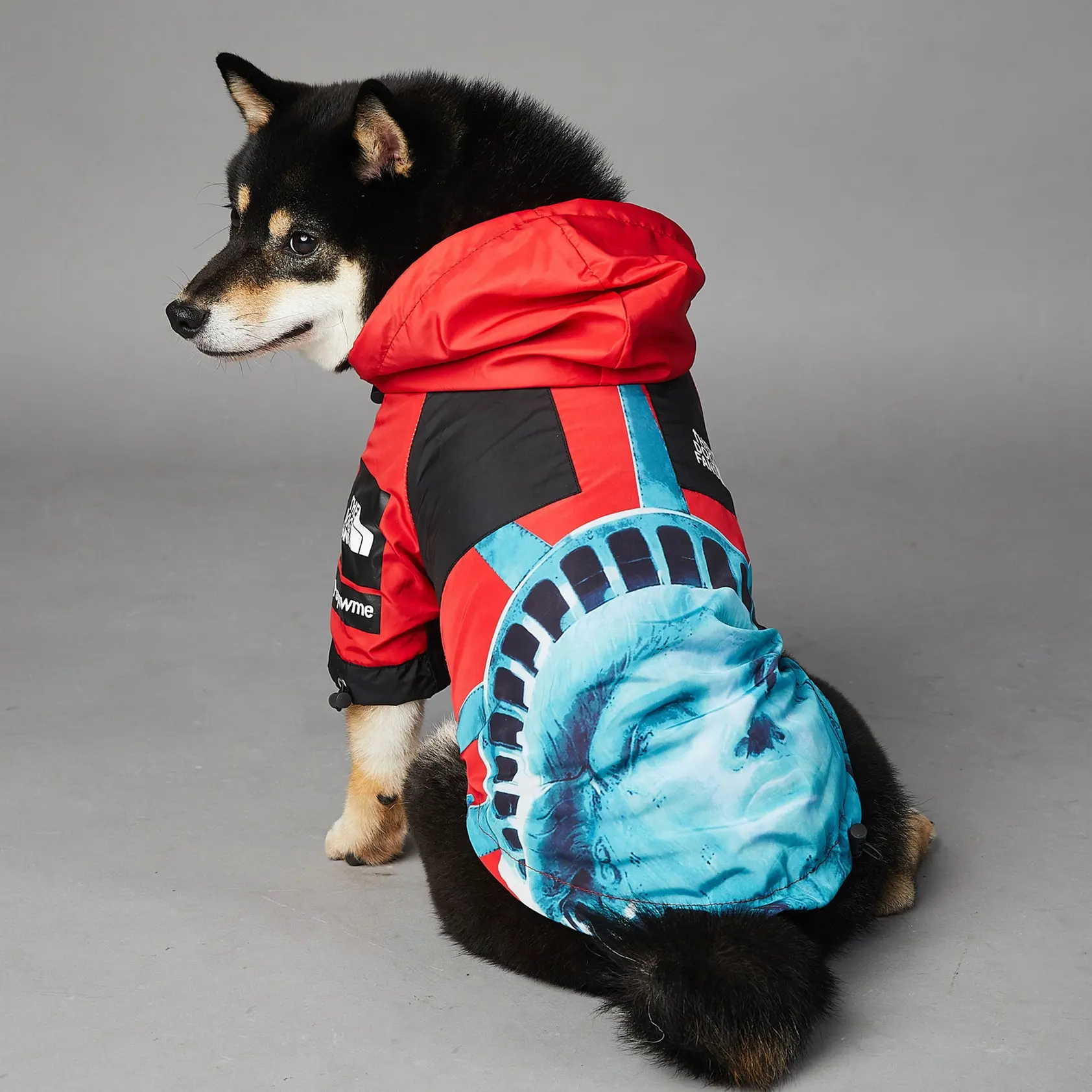 Mantel Anjing Mewah Bercahaya, Jaket Hewan Peliharaan Pola Huruf Pakaian Anjing Pug Bulldog