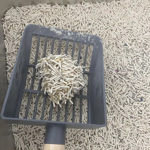 중국의 도매 가격 깨진 벤토나이트 점토 고양이 쓰레기 - Product Image 1