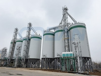 Silos de stockage de maïs, de blé et de céréales personnalisés de 500 à 10 000 tonnes, silos métalliques galvanisés de 275 g/m2 pour une usine complète de moulin à fourrage de 5 à 30 t/h