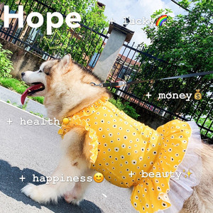 Gaun Anjing Peliharaan Motif Klasik Fashion Allah Golden Retriever Pakaian Anjing Besar - Product Image 3