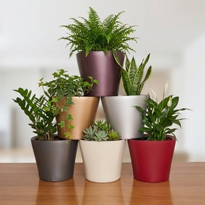 Fabricant vérifié, pots à fleurs intelligents en plastique PP de qualité supérieure, double couche, colorés, auto-arrosants, petite taille - Product Image 2