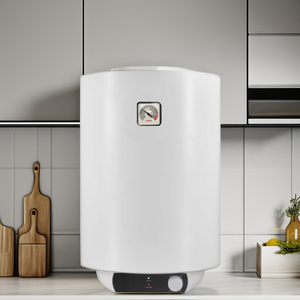 Chauffe-eau électrique 110V-240V stockage de chaleur 30L-100L capacité chauffe-eau de douche domestique produit par le fabricant - Product Image 6