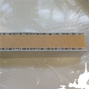 Panneaux sandwich en <span class=keywords><strong>fibre</strong></span> de verre <span class=keywords><strong>composite</strong></span> FRP GRP de 45mm d'épaisseur - Product Image 3