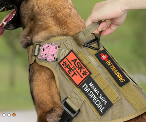 Gilet Tactique Durable pour Animaux de Compagnie <span class=keywords><strong>Manteau</strong></span> Rafraîchissant Robuste pour <span class=keywords><strong>Chien</strong></span> <span class=keywords><strong>Harnais</strong></span> de Poitrine d'Entraînement Extérieur et Laisses - Product Image 4
