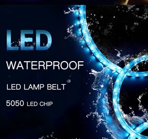 Ip68 Dưới Nước Dẫn Ánh Sáng Dây Thừng 12V Ip68 Marine Dưới Nước Dẫn Ánh Sáng Dưới Nước Dẫn Dải Ánh Sáng - Product Image 6