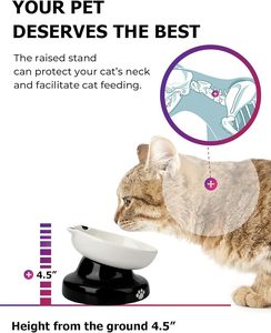 Bol en céramique pour chat à alimentation lente, incliné, surélevé, pour aliments secs et humides - Product Image 5