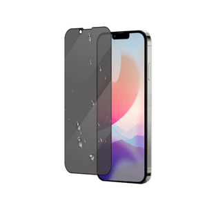 Protection d'écran en verre trempé 2.5D 9H avec colle intégrale, anti-espion et confidentialité pour iPhone 12 13 14 15 16 17 Pro Max Plus - Product Image 1