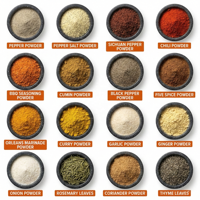 Poudre de piment rouge certifiée Halal, épice de qualité supérieure, assaisonnement, exportation vers le Moyen-Orient, approvisionnement B2B