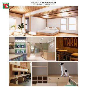 Hdhmr Colori per Pittura India Economici Cina 18 Pannelli 16mm 2mm 1525 4412 Pino 12mm Legno 18mm 6mm 4x8 4mm 3mm 34 3 <span class=keywords><strong>Compensato</strong></span> - Product Image 6