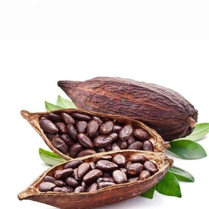 مُصنع مسحوق بذور الكاكاو ثيوبرومين ، خلاصة البولي فينيل (HPLC) ، خلاصة الكاكاو - Product Image 2