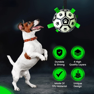 Luminoso calcio calcio cane palla con cinghie giocattolo interattivo per grandi prodotti a prova di masticazione impermeabile - Product Image 2