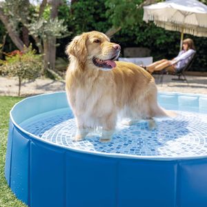 <span class=keywords><strong>INTEX</strong></span> 48400 bleu rond pliable <span class=keywords><strong>piscine</strong></span> pour animaux de compagnie <span class=keywords><strong>petite</strong></span> <span class=keywords><strong>piscine</strong></span> pour animaux de compagnie facile à installer durable 1.52m X 30cm - Product Image 2