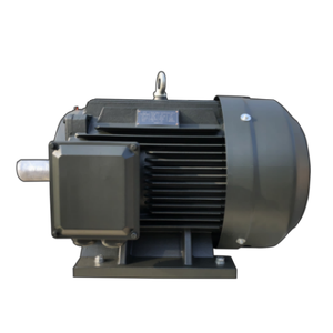 มอเตอร์เหนี่ยวนำไฟฟ้ากระแสสลับแบบอะซิงโครนัสสามเฟส 380V/460V สำหรับอุตสาหกรรม  รุ่น YE-H ซีรีส์ Y2 สามเฟส I - Product Image 2