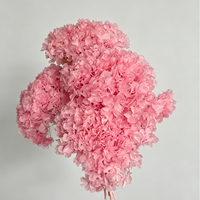 Vente en gros de grandes feuilles de hortensia rose stabilisées pour Thanksgiving, fleurs éternelles préservées à la glycérine, respectueuses de l'environnement, longue durée