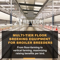 Équipement automatisé 2026 pour cages d'élevage de poulets de chair avec système de collecte des œufs à couver