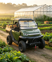 Канди 4*4 UTV Электрический грузовой автомобиль 15,36 kWh литиевая батарея бок о бок взрослый EPS Электрический UTV 72V автоматический EEC Сертифицированный