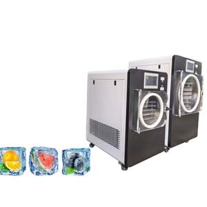 Lyophilisateur Commercial de Haute Qualité pour Fruits et Aliments, Grande Capacité, Qualité Alimentaire, pour Fraises - Product Image 2