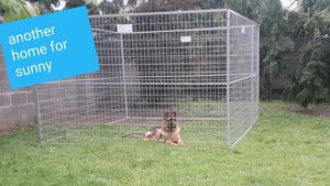 ขายส่งคุณภาพสูงขนาดใหญ่กลางแจ้งใช้ราคาถูกโลหะกรงสุนัขผู้ให้บริการสุนัขและแผงรั้ววิ่ง - Product Image 4