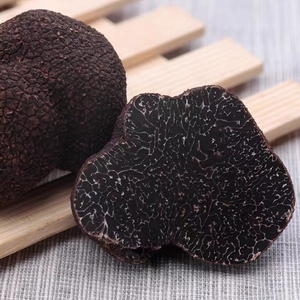Venta caliente de trufa china de exportación de trufa Tuber Indicum precio al por mayor - Product Image 2