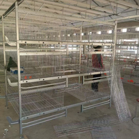 Fabricant de cages d'élevage de type H, galvanisées à chaud, 3/4 niveaux, semi/personnalisées, avec le meilleur service, directement de l'usine