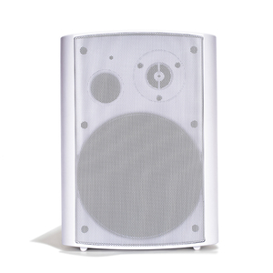 Wireless <b>Wall</b>-Mounted Stereo Speaker System for BT5.4 Dual-Band WiFi 100W Output <b>Metal</b> <b>Cabinet</b> Multi-Room Audio Wireless <b>Wall</b> Mo - Product Image 2