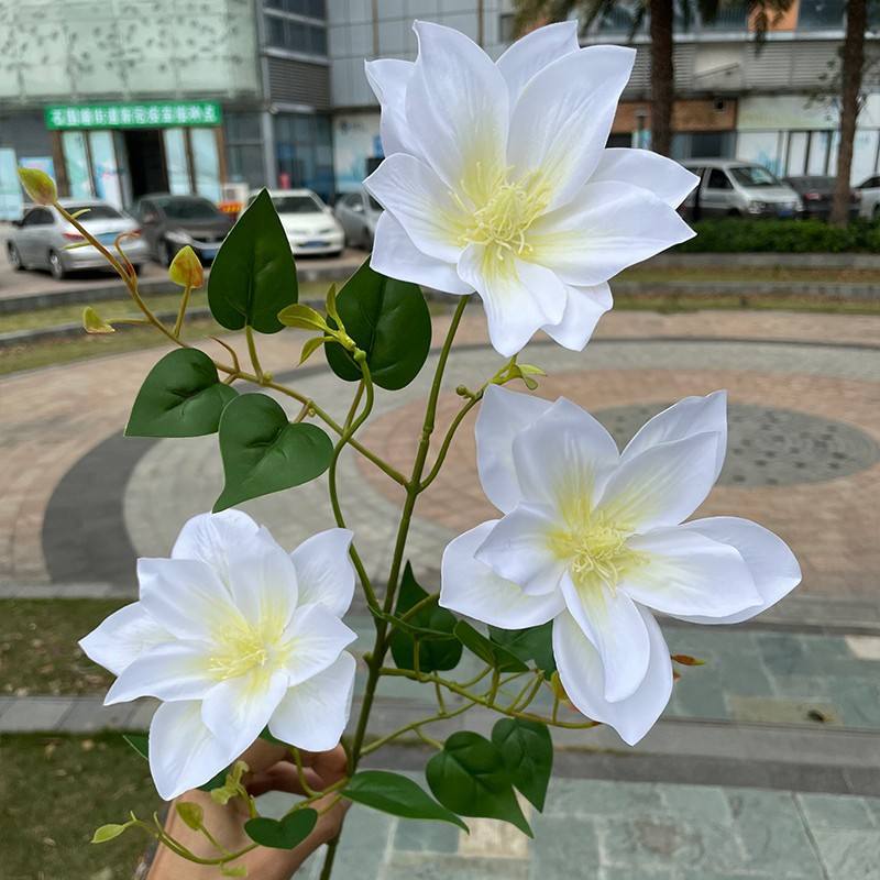 107# 3 head feel clematis white