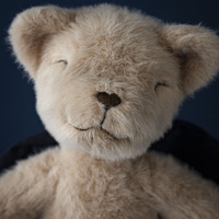 Mini peluche chat couleur abricot, mélange de poils de lapin, poupée apaisante, jouet en peluche doux de niche pour collectionneurs et cadeaux