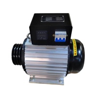50zh 60hz 220v 380v 3kw 5kw 10kw 20kw 30kw 50kw 75kw 20kva 30kVA 100kW Alternateur sans balais 100% Prix de l'alternateur de fil de cuivre