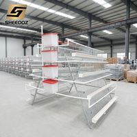 Cages à œufs de type A pour poulets pondeuses, cages de batterie pour élevage, poulaillers et fermes avicoles
