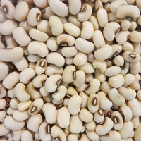 Nihewan Haricots secs aux yeux noirs Petit prix du haricot de niébé blanc Haricots aux yeux noirs