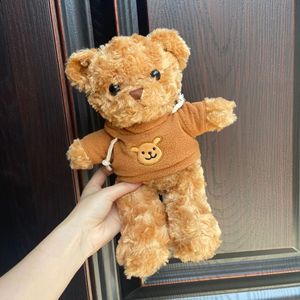 Oso de Peluche en Caja de Regalo Brillante, Regalo de Cumpleaños, Peluche de Oso de Peluche, Regalo Empresarial, Productos para Puestos de Mercado Nocturno - Product Image 6