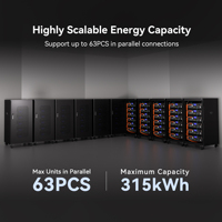 Batterie de rack de serveur UL 5 kWh 51,2 V 100 Ah LiFePO4 pour système d'énergie solaire, stockage d'énergie solaire au lithium CAN RS232 RS485