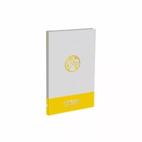 Vente en gros de boîtes de cartes à collectionner Pokémon TCG Stellar Crown, version chinoise simplifiée, booster pack Pikachu, jeu de cartes à collectionner