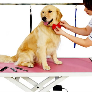 Table de toilettage pour animaux de compagnie en acier inoxydable pliable et réglable en hauteur pour chiens et chats à vendre - Product Image 1