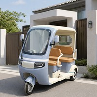 Tricycle électrique touristique SumEv 60V 1000W à 3 places, carrosserie ouverte, autonomie 30-50 km, vente en gros pour distributeurs en Asie du Sud-Est, parcs à thème et stations balnéaires