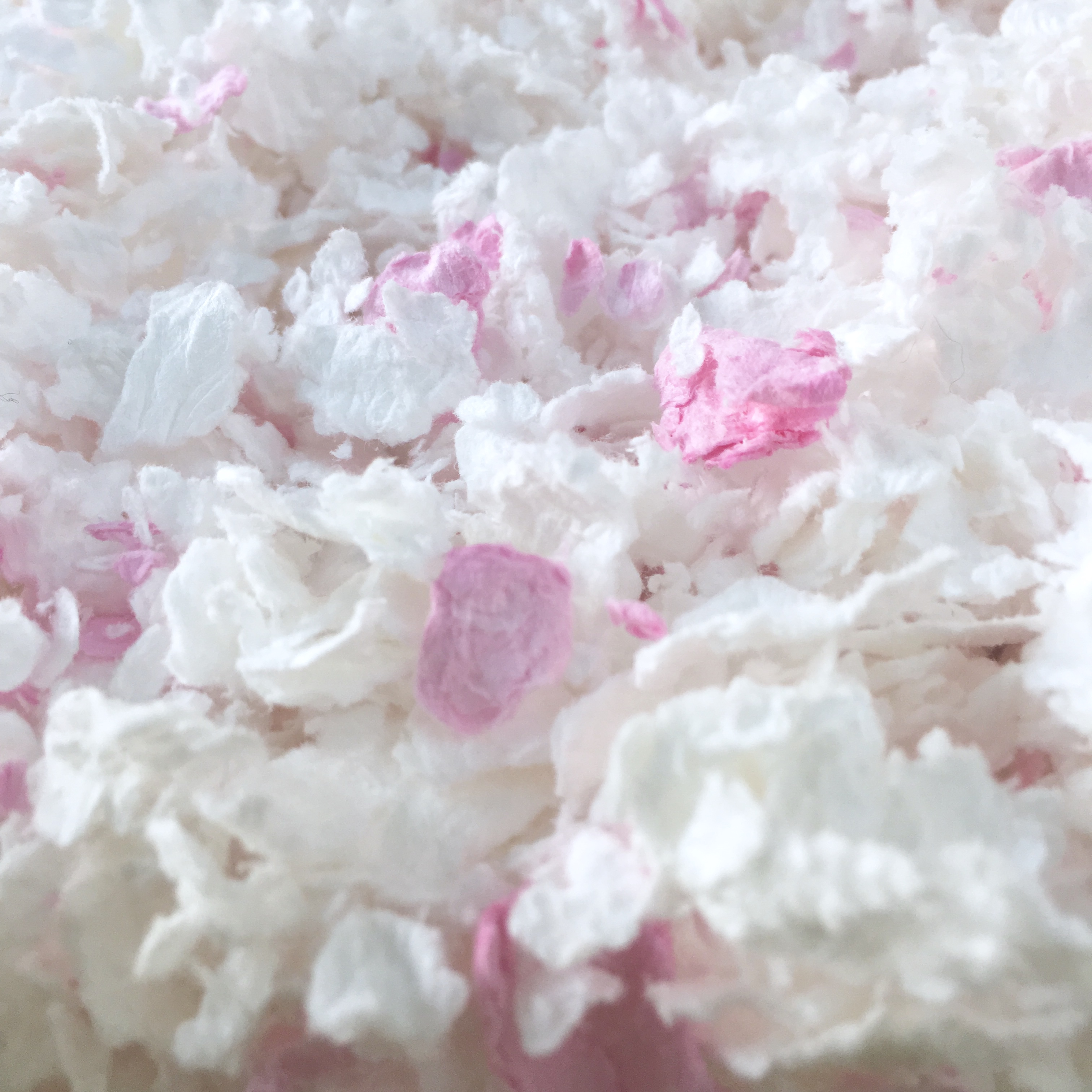 Blanc + rose clair