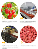 Kualitas tinggi buah IQF Frozen strawberry Harga terbaik untuk manis mencicipi buah bola pola proses pelestarian