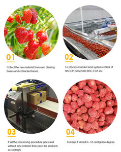 Fraises congelées IQF en vrac de haute qualité meilleur <span class=keywords><strong>prix</strong></span> pour le processus de conservation du motif de boule de fruits au goût sucré - Product Image 5
