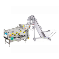 Efficiënte sapcentrifuge, koudpers type, fruitbandpers voor bessen en appels