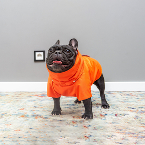 Qiqu Pet Supplies Personnalisé Nouveau Designer Bouledogues Français Imperméables Imperméables Chien Printemps Automne Manteau Frenchies Veste <span class=keywords><strong>Carlin</strong></span> Chien Vêtements - Product Image 3