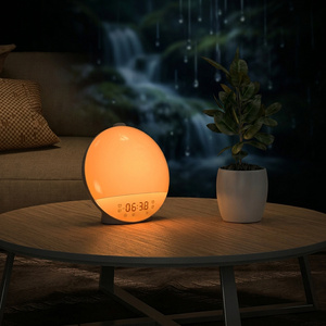 Réveil Lumineux avec Simulation d'Aube, Radio FM, <span class=keywords><strong>Veilleuse</strong></span> LED à Intensité Réglable et Bruit Blanc pour Dormeurs Profonds (Prise EU/US) - Product Image 1