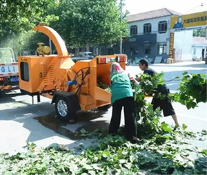 Machine d'alimentation hydraulique prix puissant moteur déchiqueteuse à bois pour champignon - Product Image 3