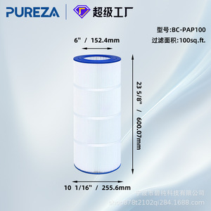 Filtre à eau Bipure Pool Core BC-PAP100, pièce de rechange pour filtration d'eau de piscine et spa - Product Image 3